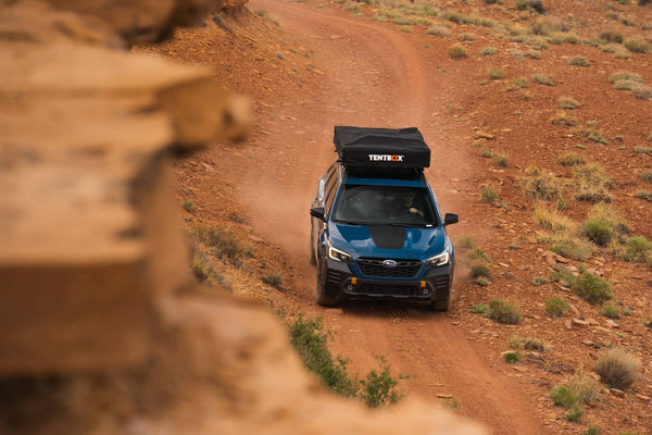 Exploring the US: 5 road trip ideas